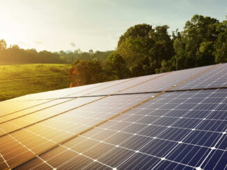 Solar,Panels,And,Green,Nature,,Renewable,Energy.,Sustainable,Energy,To