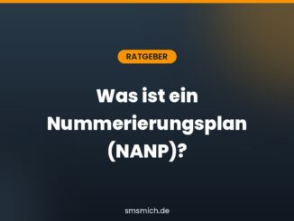 Was ist ein Nummerierungsplan (NANP)?